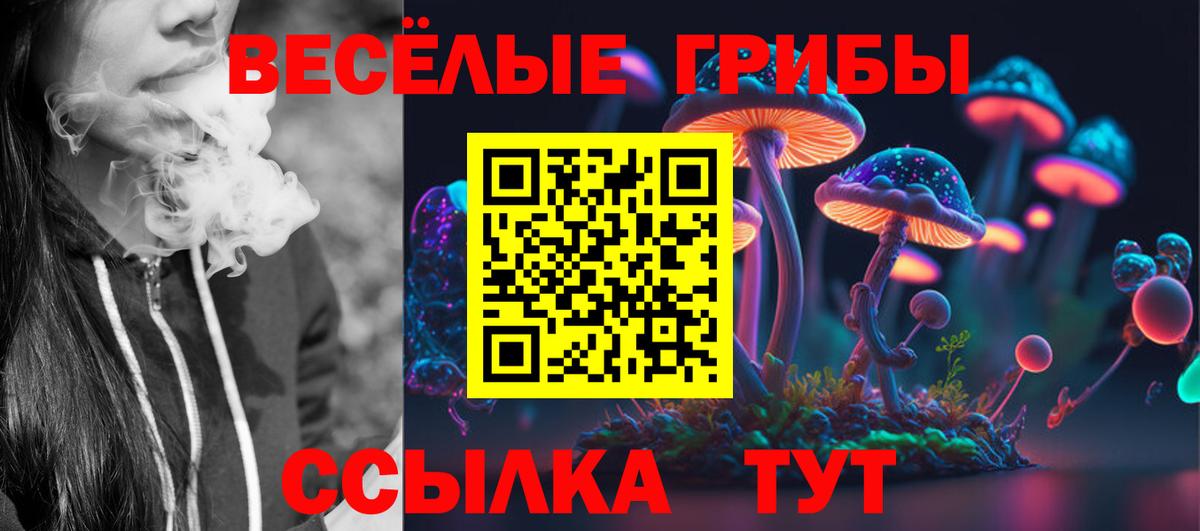 Псилоцибиновые грибы мухоморы Барабинск